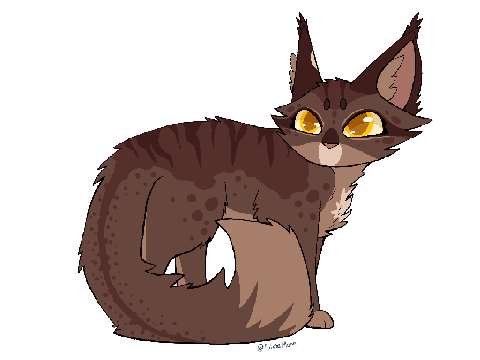 New OC | Cherrybreeze