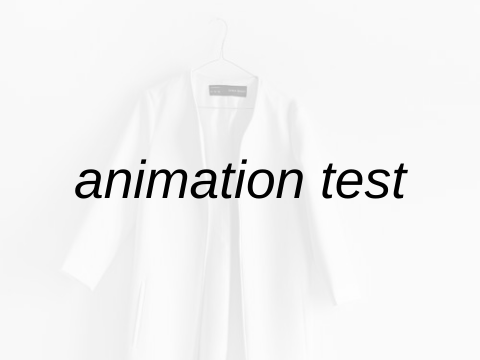 (bad) animation test