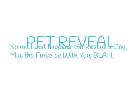 >>>PET REVEAL<<<