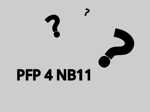 PFP 4 @NinjaBoi_11