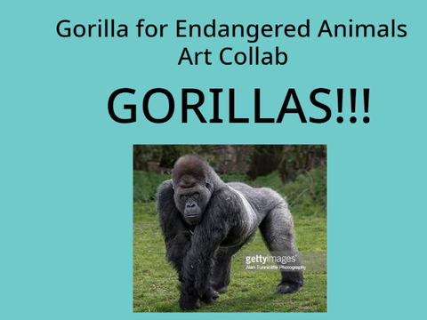 Endangered Animals Art Collab! - Eastern Lowland Gorilla