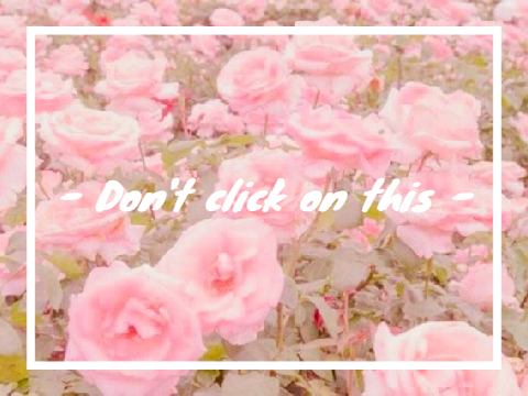 - i d k -