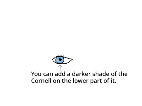 How to draw eyes