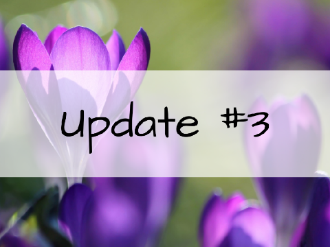 Updates #3