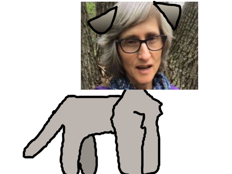 Kadiekit, aka, ThatVegankit