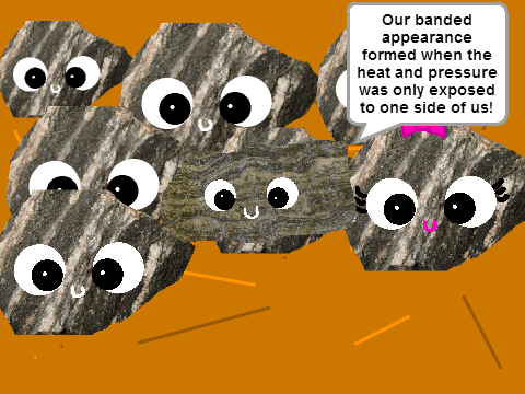 The Life of a Rock