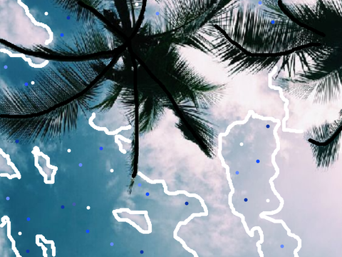 palm trees 'n clouds