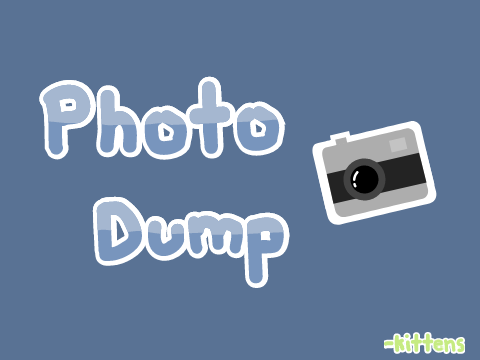 Photo Dump