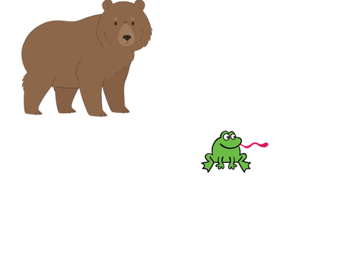 Bear