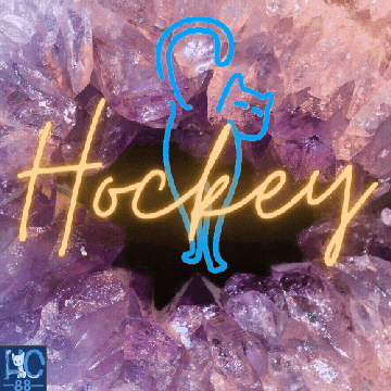 Banner For HockeyCat88