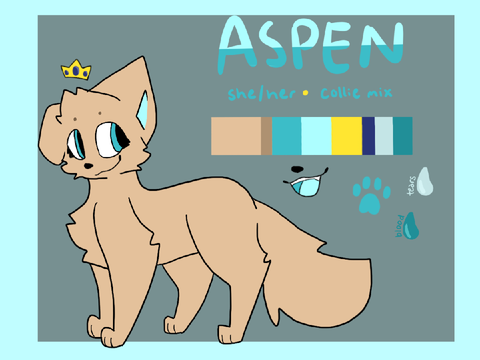 Updated Aspen Ref