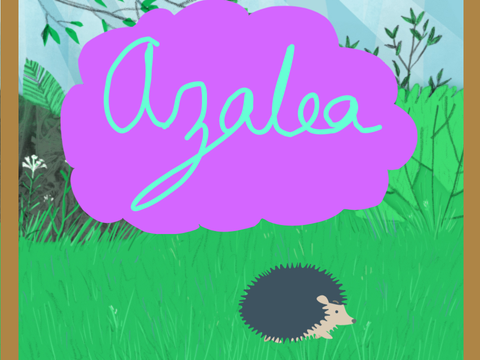Name Thing with Hedgehog