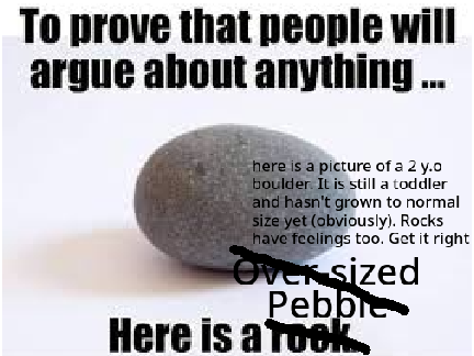 Rock? No. Underaged boulder. 