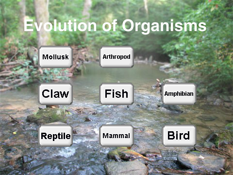 Evolution of Organisms