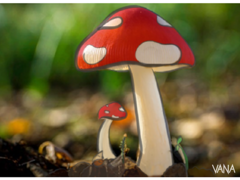 Shroom.