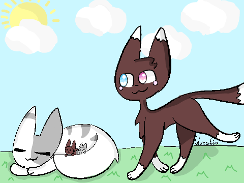 []Kits[]1k CC[] ENTRY