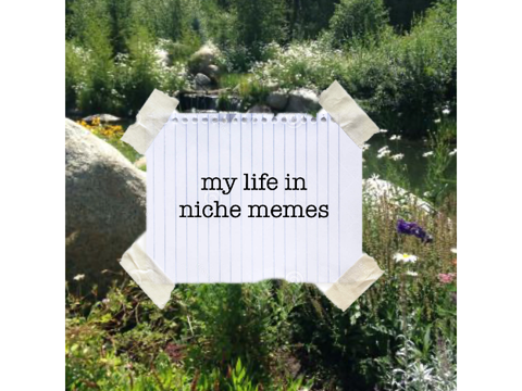 ❁ my life in niche memes