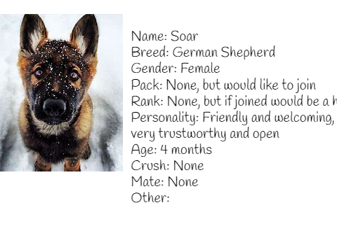 RP bio Soar