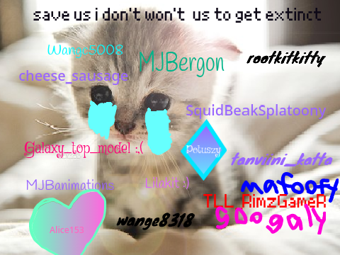 Sign if you hate animal cruelty remix remix remix remix remix remix