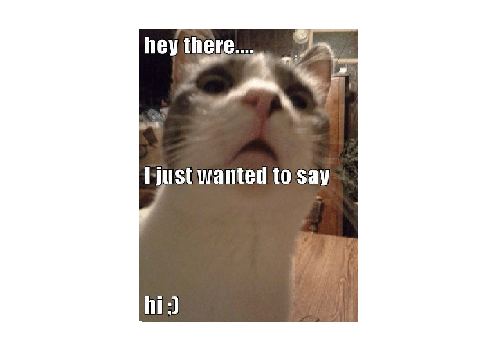 Hi