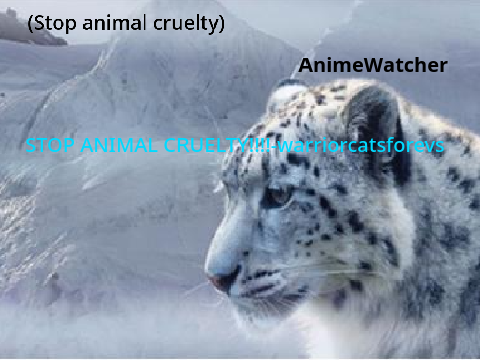 sign if you hate animal cruelty!!!!!!!