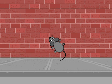 ~Cheese & Mouse~(N.B)