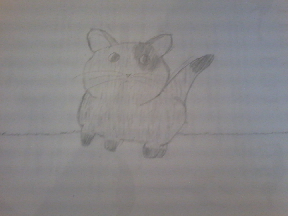 I drew a cat-