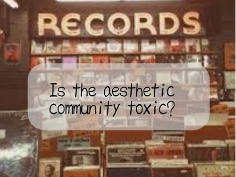Is the aesthetic community toxic?