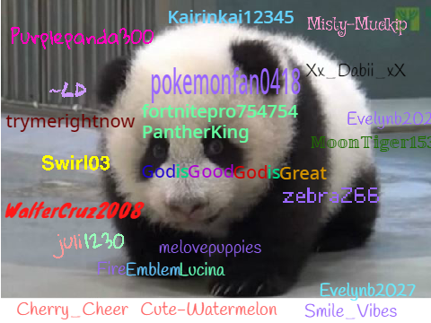 Sign if you are against PANDA POACHING!  remix remix remix