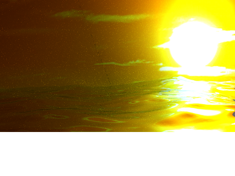 Blender: Curator Entry
