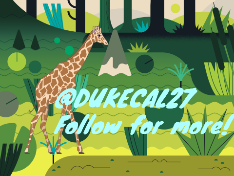 Follow!