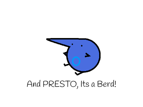 How to draw a Berd