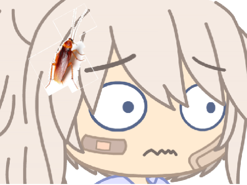 Is that a cockroach? My Version