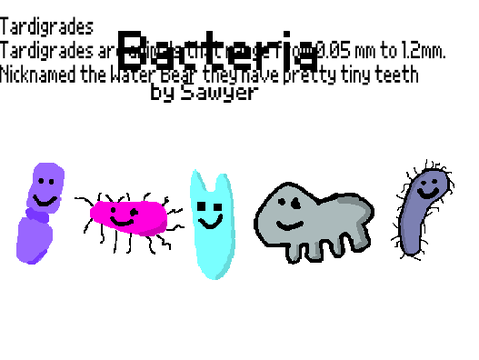 Bacteria (S1 E2)