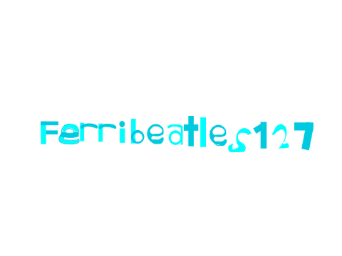FerriBeatles127's Intro