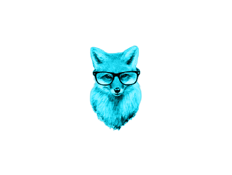 blue fox pfp