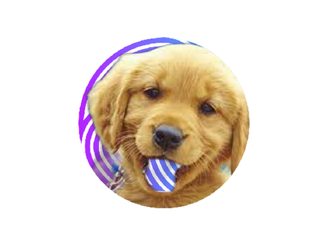 puppy with colorful tongue pfp