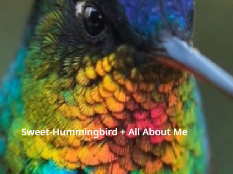 Sweet-Hummingbird