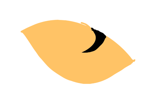 Dragon eye
