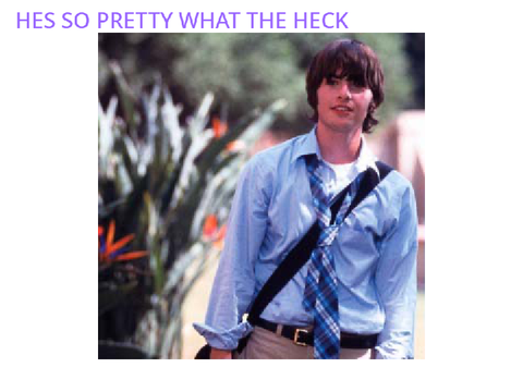 I JUST REWATCHED THE PRINCESS DIARIES