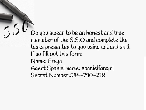 S.S.O Form remix
