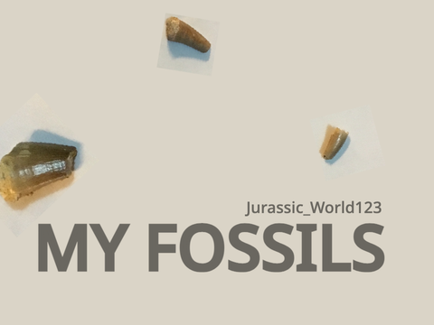 My Fossils