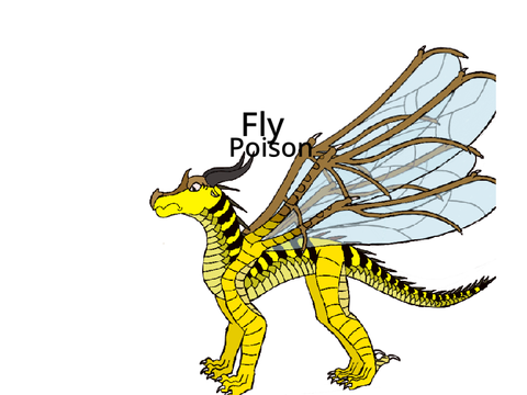 Wings of fire character generator