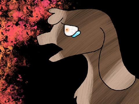 ~ Random Bunny ~