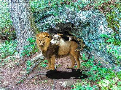 chimera