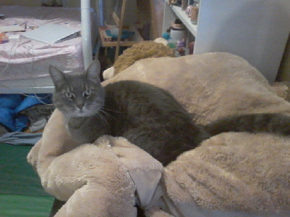 DIS MY BABY