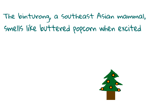 Did You Know...  Animated!