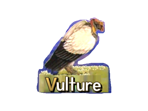 fixed the "vulture" word