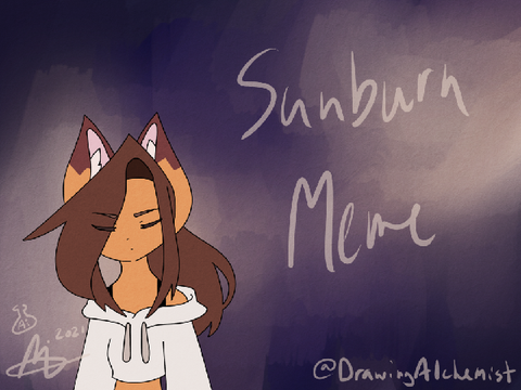 [OLD] //Sunburn//Meme//