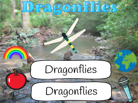 Dragonflies